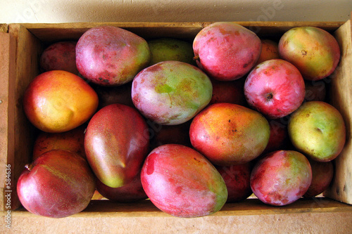 Box of mango fruits
