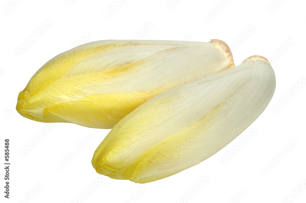 Schilderij op canvas endive