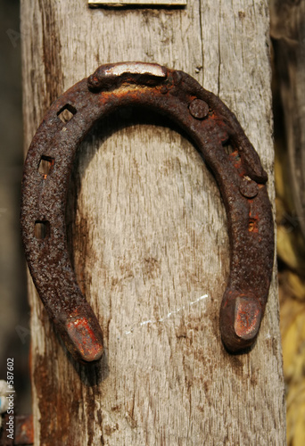 Obraz na plátně horseshoe on fence