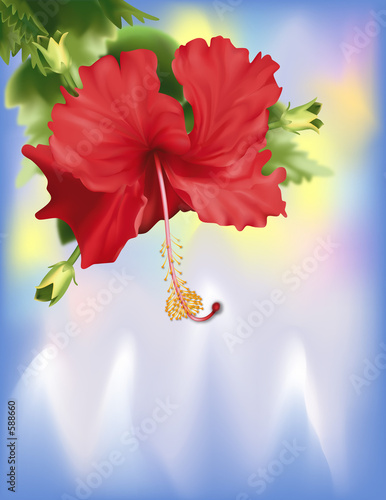 hibiscus on ice (with clipping path)