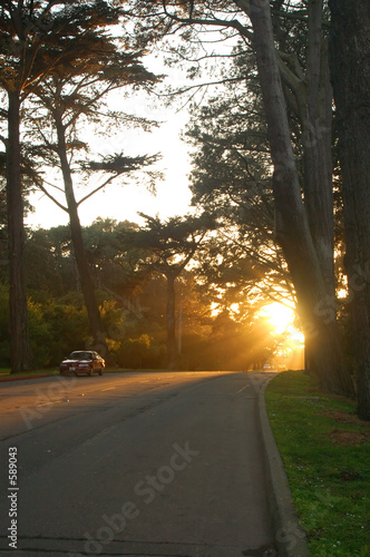 afternoon in the park photo