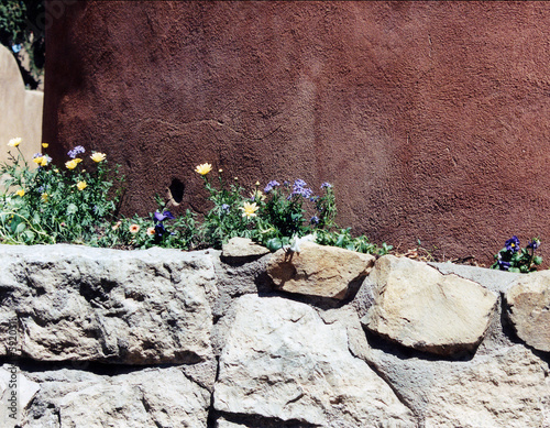 flowers on rock wall