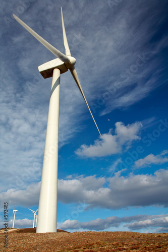 wind turbines farm