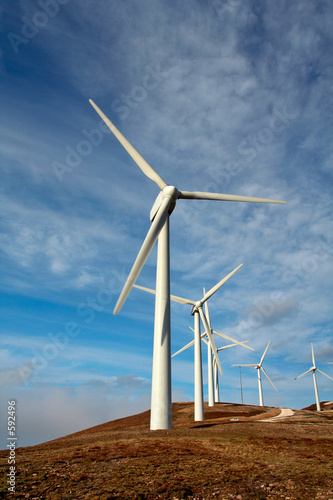 wind turbines farm
