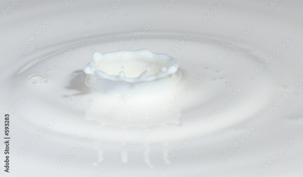 lait 008 lait 008