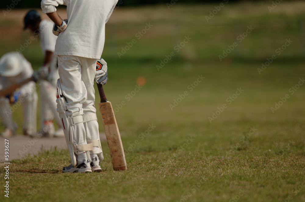 Obraz premium english cricket