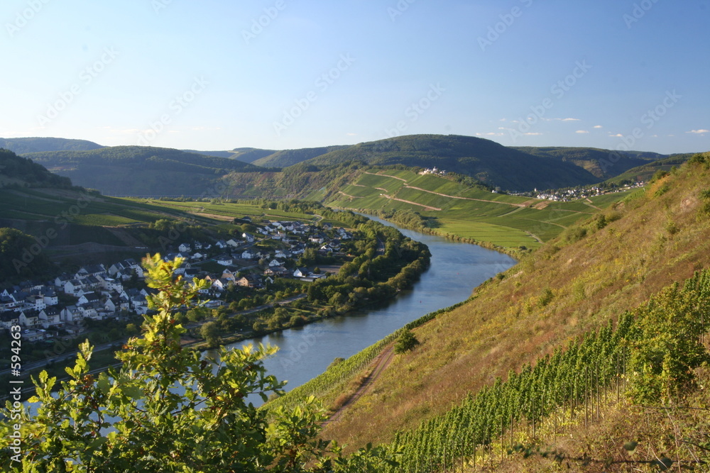 mosel bei briedel