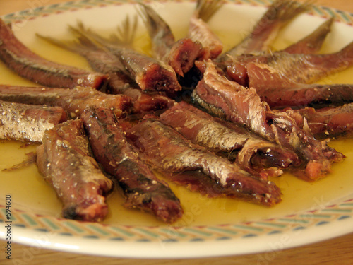 salted sardines