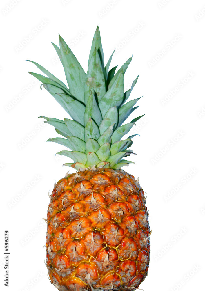 ananas ananas