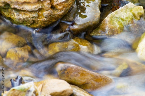 spring stream