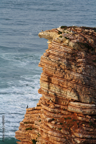 abbadie coastline photo