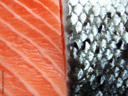 salmon filet