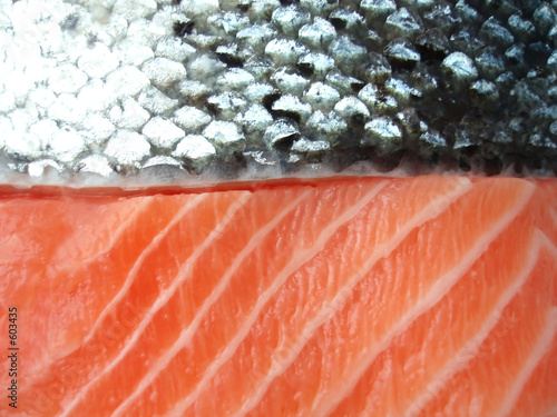 salmon filet