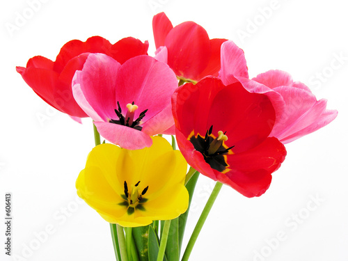 bouquet de tulipes