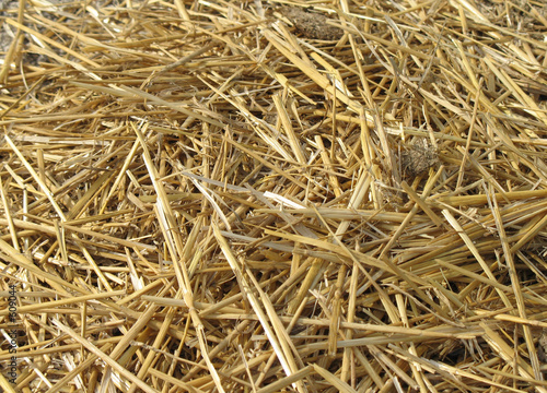 straw