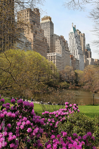 park in a large city