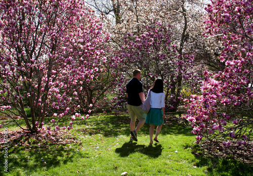 springtime walk