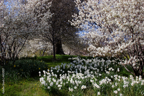 flowers everywhere!