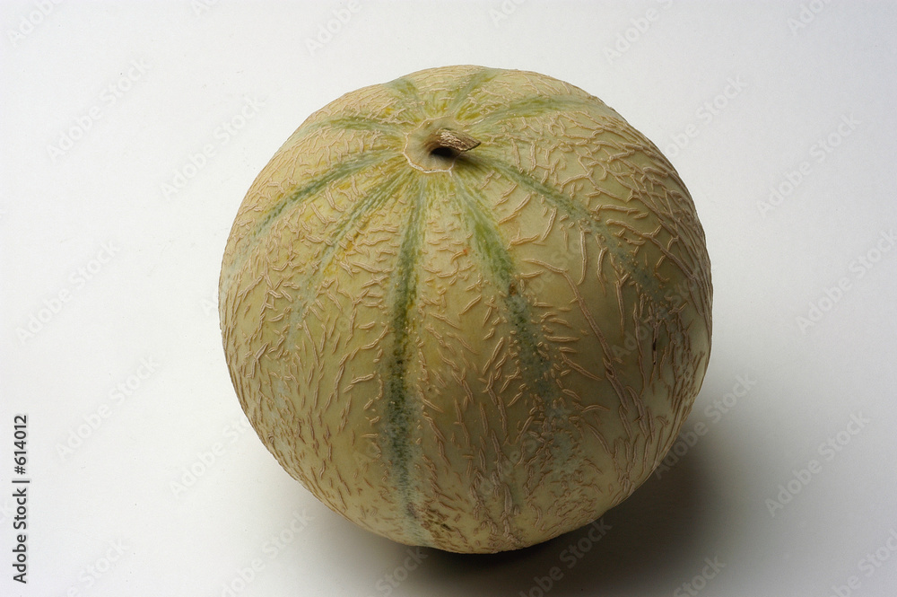 melon melon