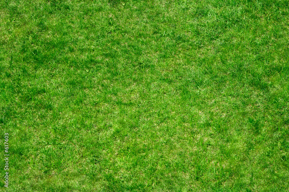 grass 7 grass 7