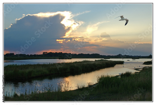 rieselfelder am abend