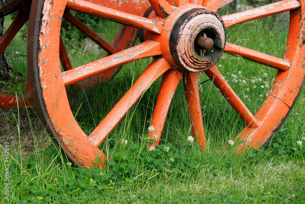 Quadro em tela wagon wheel