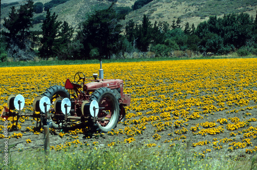 flowers for lompoc