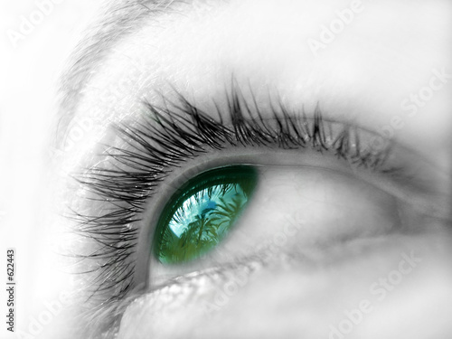 ojo verde iii