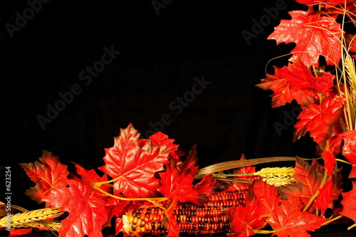 autumn border