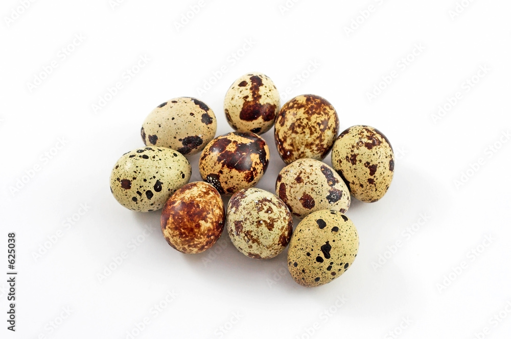 quail eggs