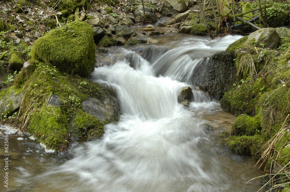 eau vive eau vive