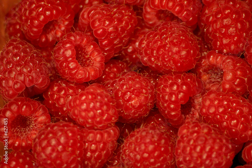 raspberries macro