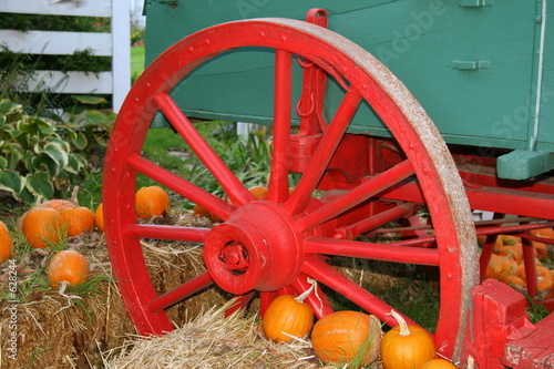 autumn on the farm