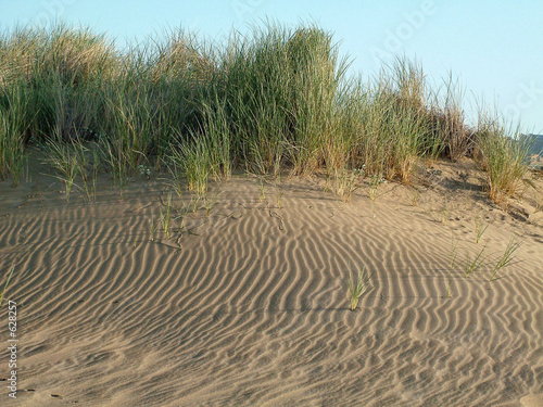 california wind sand