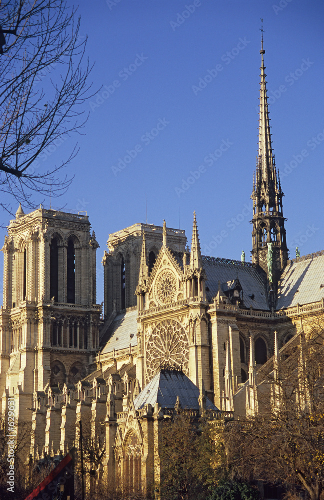 Obraz premium notre dame cathedral