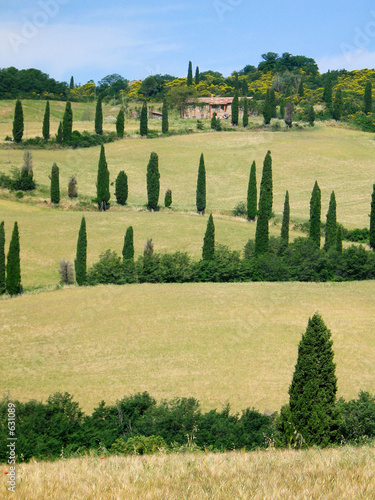 tuscany landscape