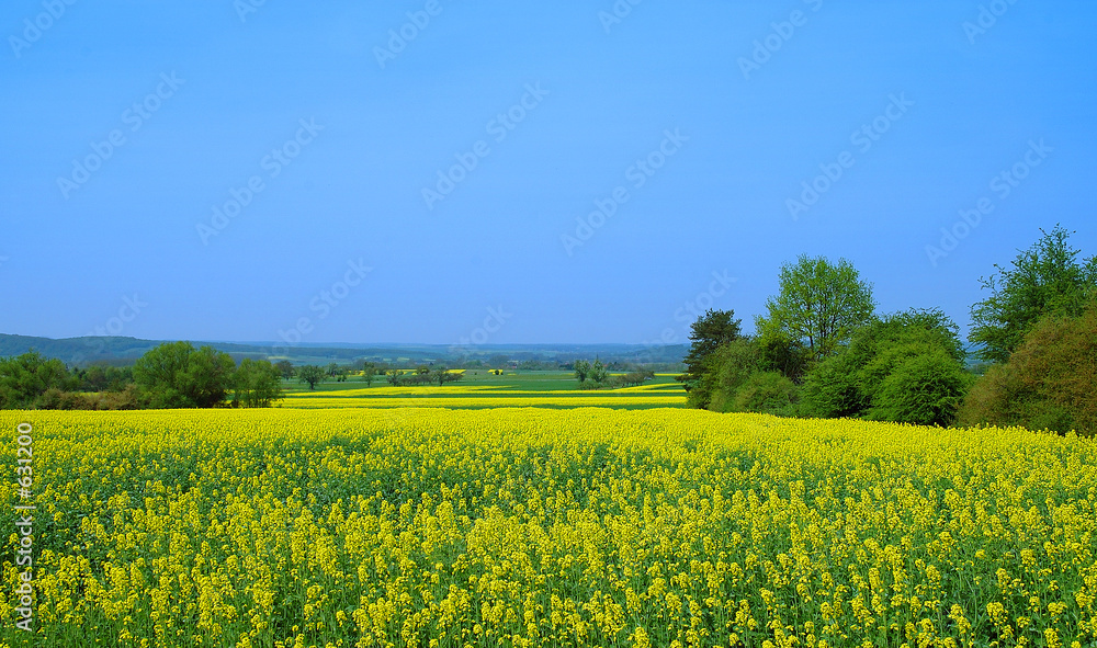 jaune et bleu