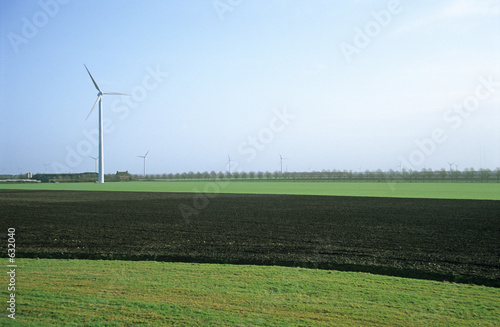 windmill farm