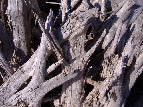 bois de mer