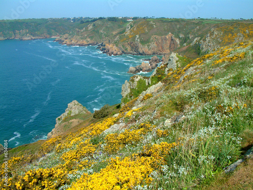 côte rocheuse fleurie