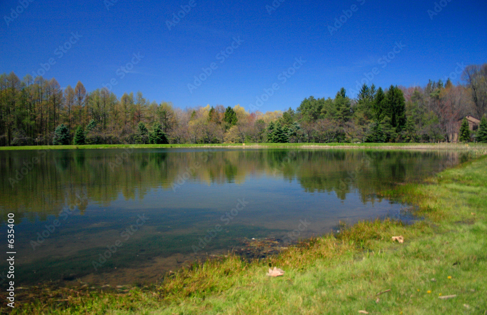 spring pond