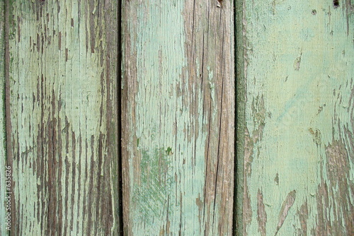 green wood texture © Lubomir Georgiev