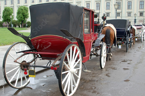 vienna carriages