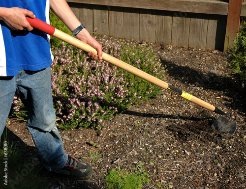 weeding the garden