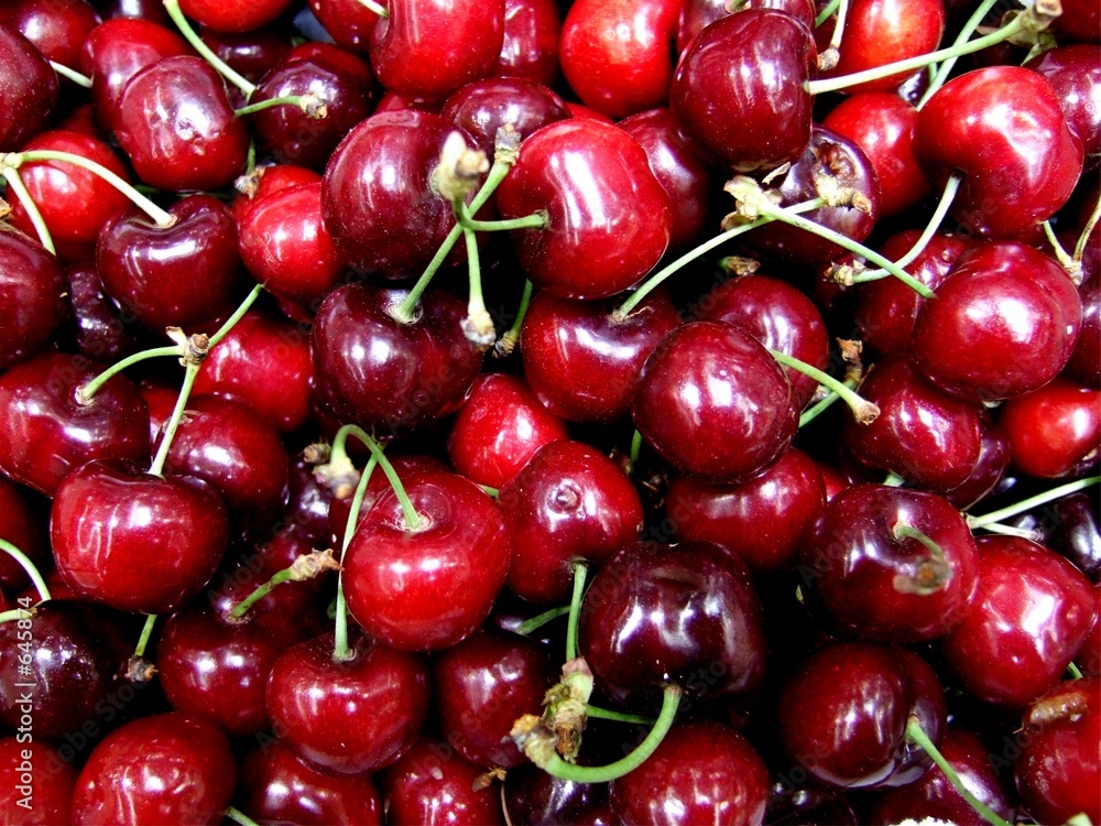 le temps des cerises le temps des cerises