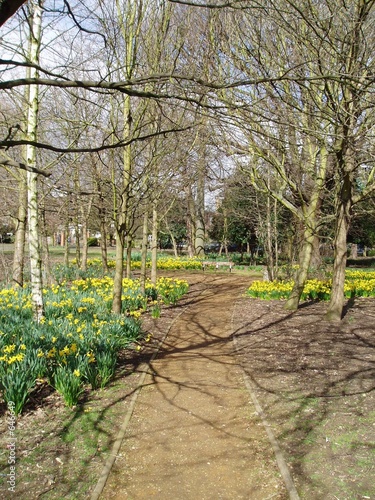 a spring day 1