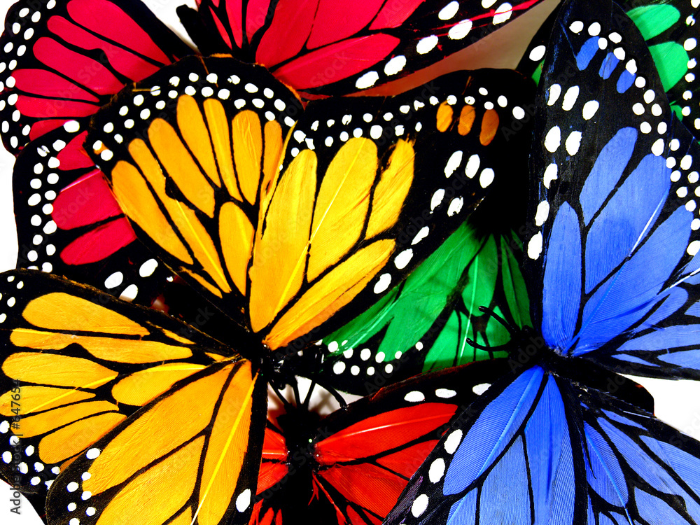 Naklejka premium colorful butterflies