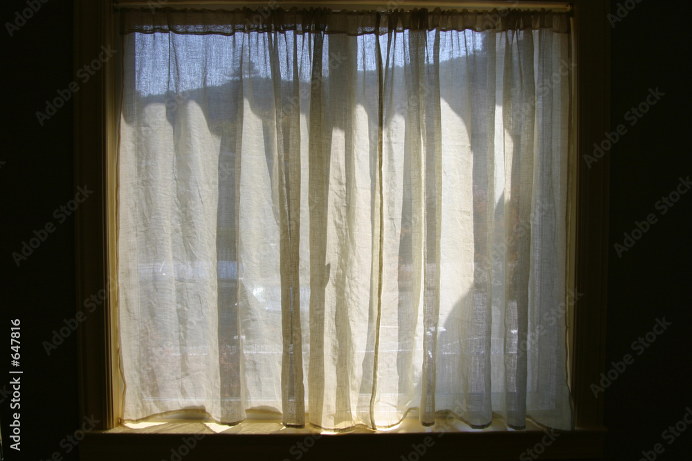 window curtains window curtains