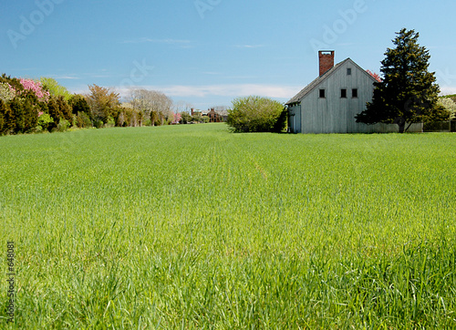 colorful farm