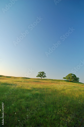 spring field